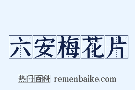 六安梅花片是什么意思的图片